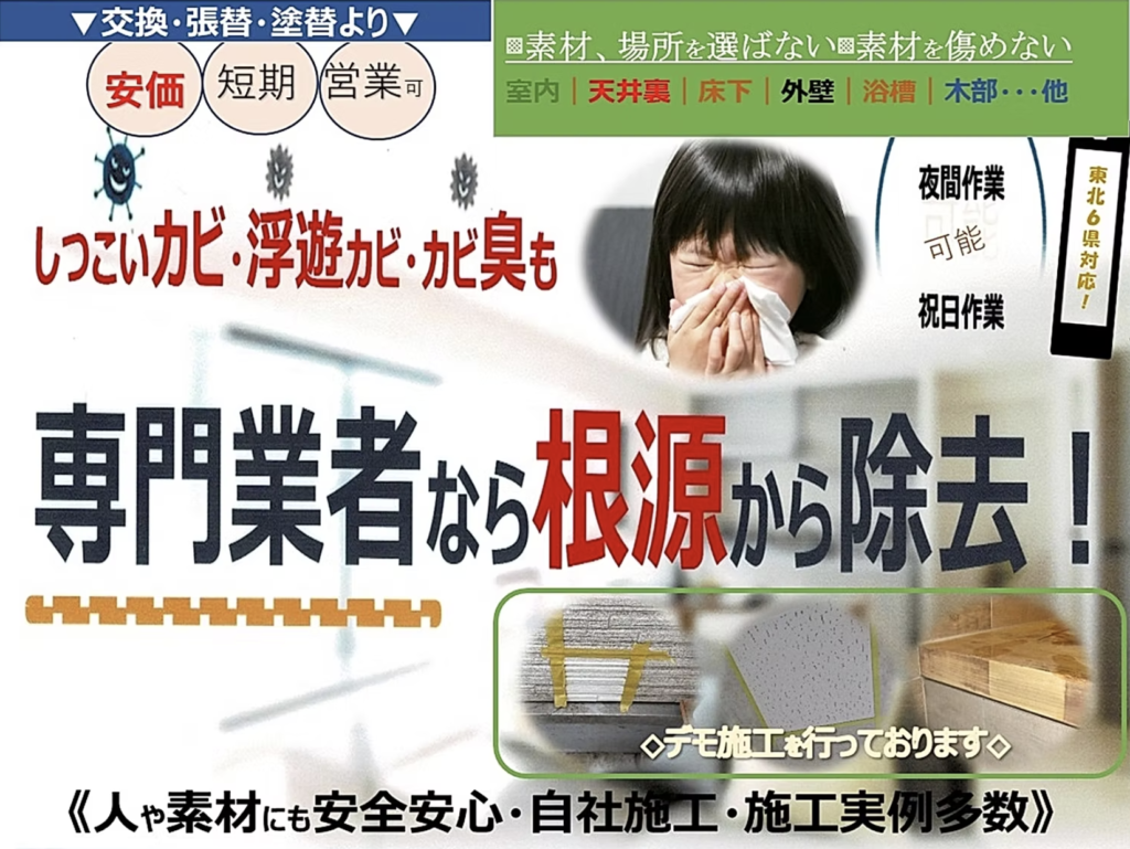 東北6県(宮城県、福島県、山形県、青森県、秋田県、岩手県)のカビ除去ならミスミ
